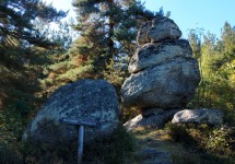 naturerlebnis4_nordwald2.jpg