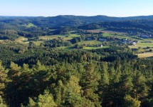 naturerlebnis5_nordwald3.jpg